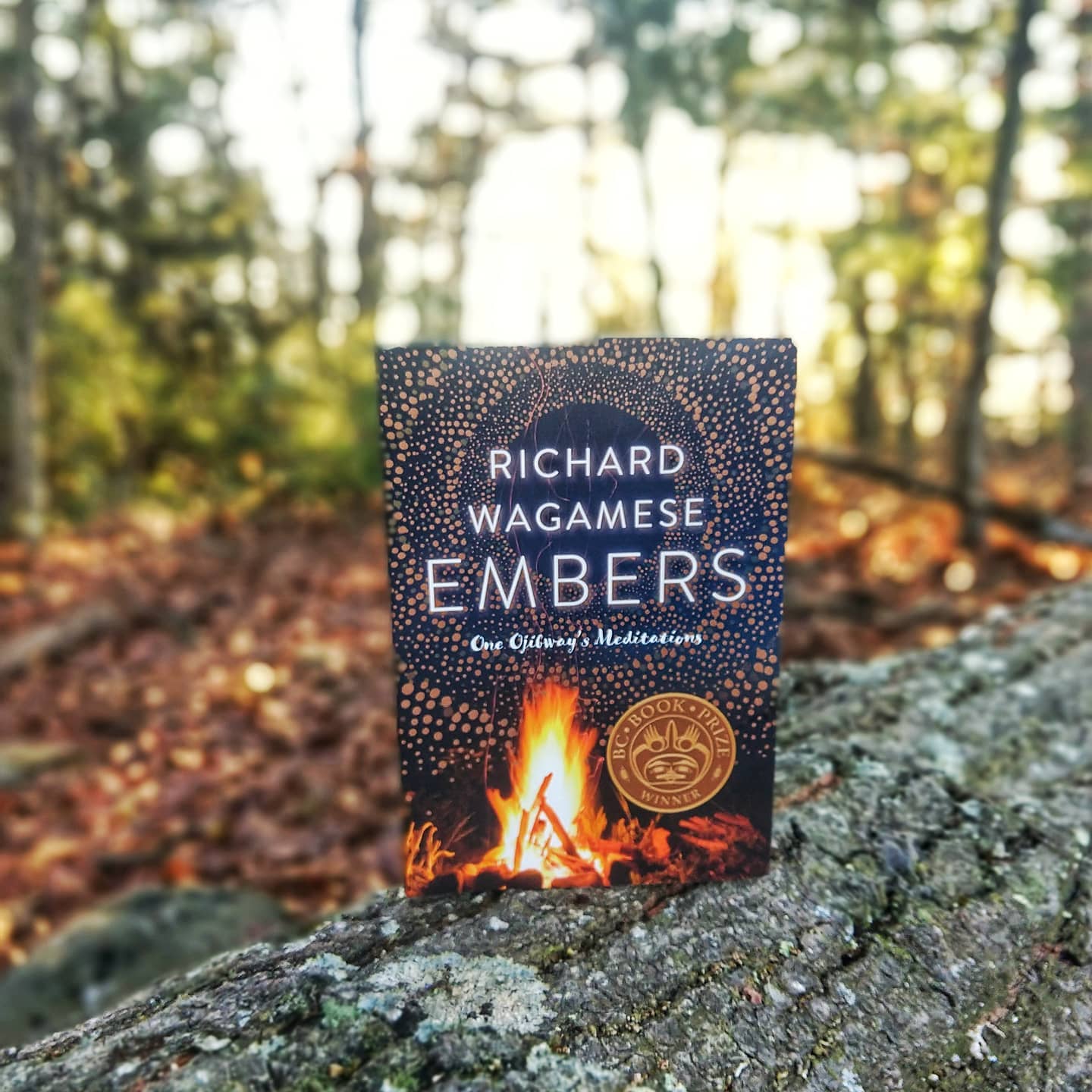 Book Review book cover