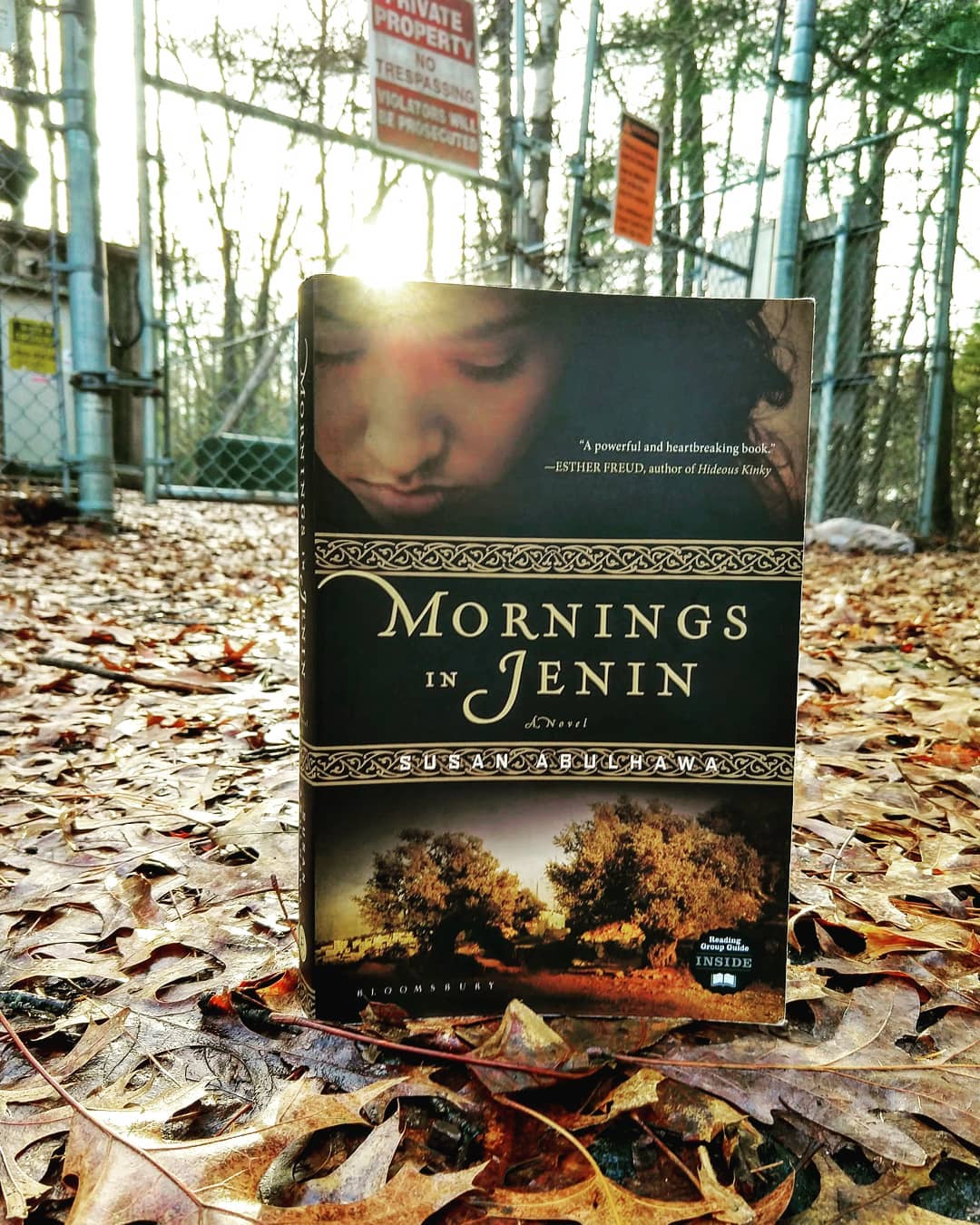 Book Review book cover
