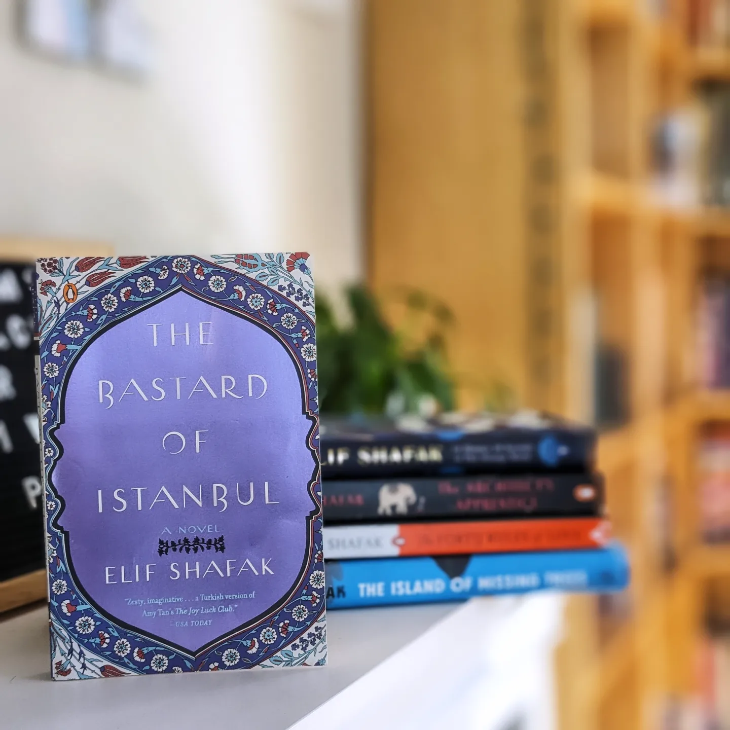 The Bastard of Istanbul book cover