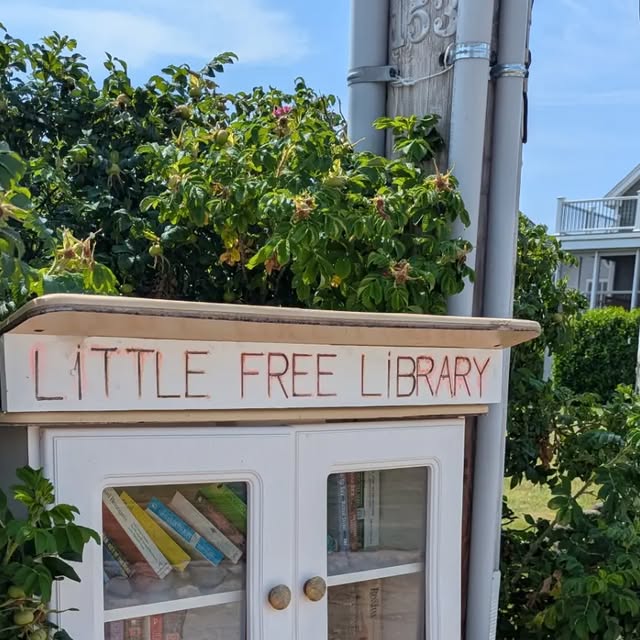Little Free Library Treasures book cover
