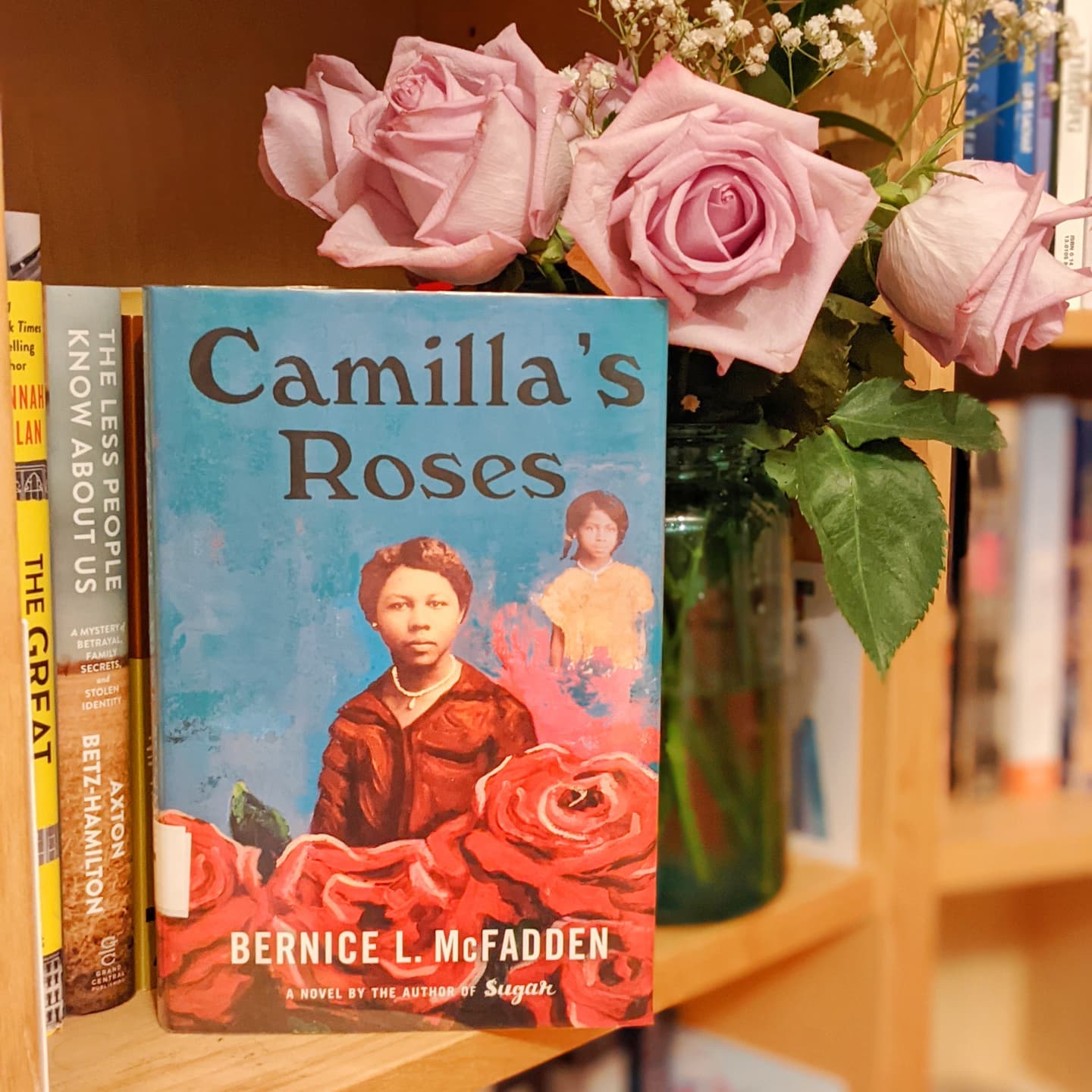 Picture this book cover