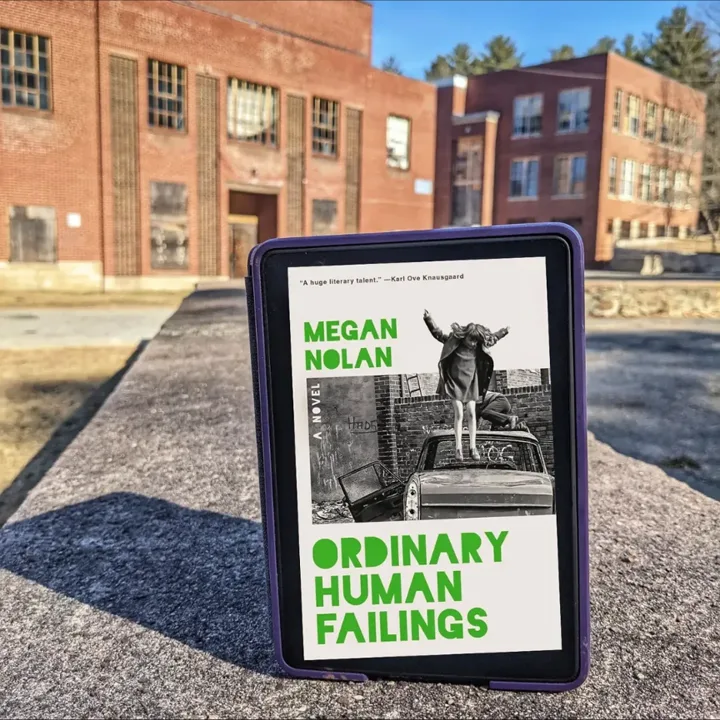 Ordinary Human Failings book cover