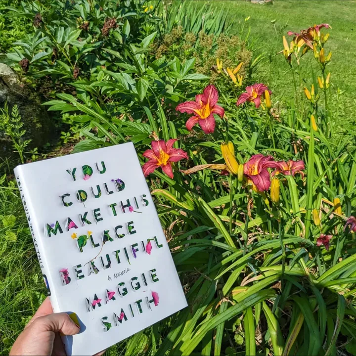 You Could Make This Place Beautiful book cover